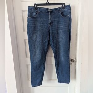 Sandpiper Rose Embroidered Size 22 Skinny Jeans